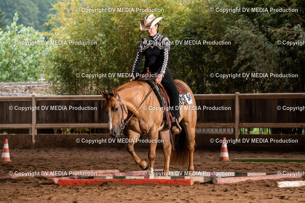 Erbach Tag 3-305 | dv-media-shop - Realisiert mit Pictrs.com