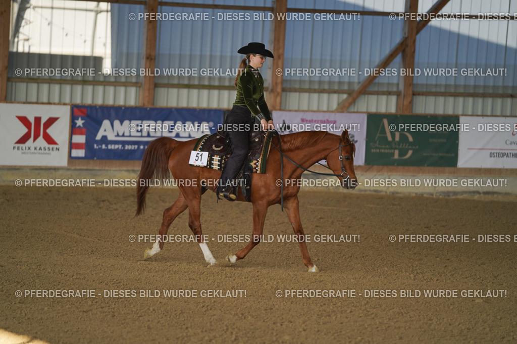 DSC08489 | Pferdegrafie