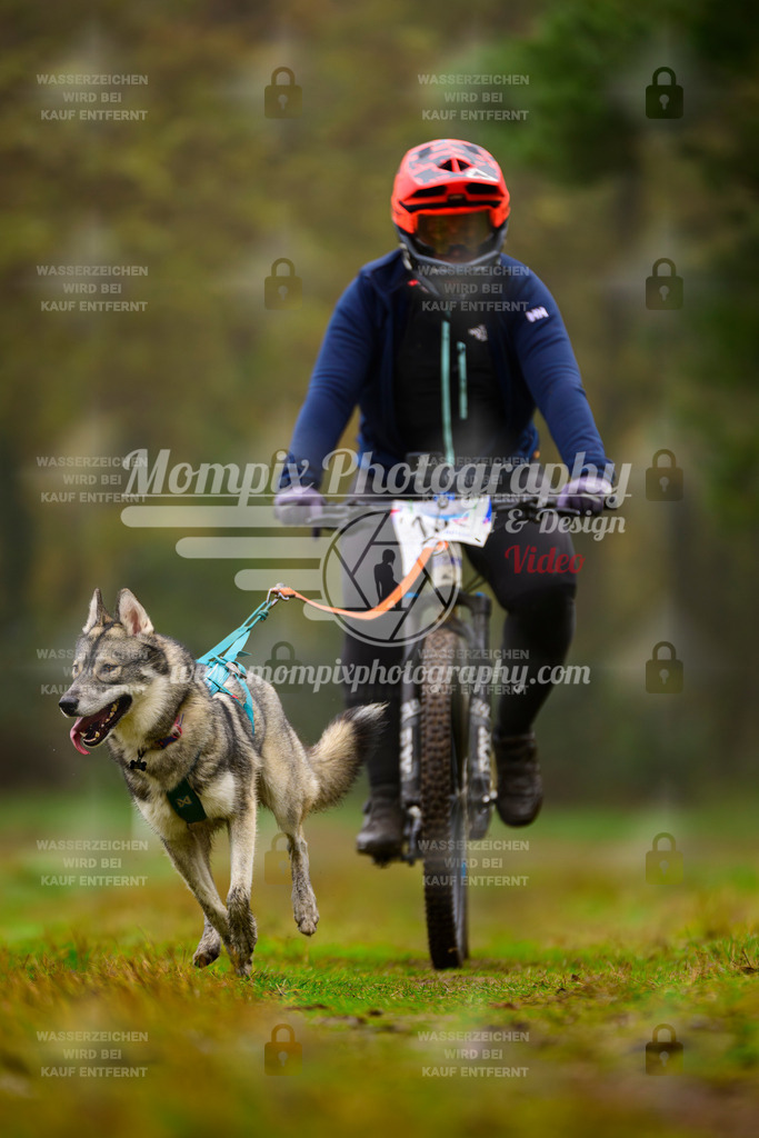 MompixPhotography_Bischwiller2025_Bike-81 | mompixphotography