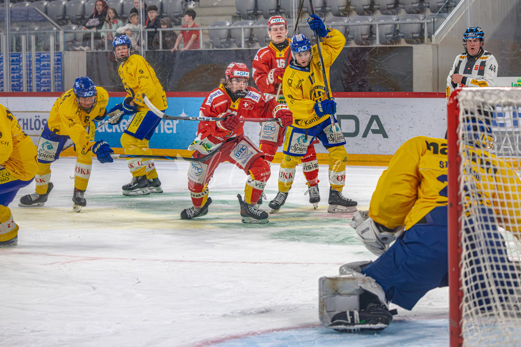 U21_EHCB vs HCD_wb20260308-9908 | Sportbilder, Sportfotograf, Hochzeits- und Eventfotografin, Flugshows, Portraits und Tiershooting, Aviation, Downhill, Nationalleague, Swissleague, International