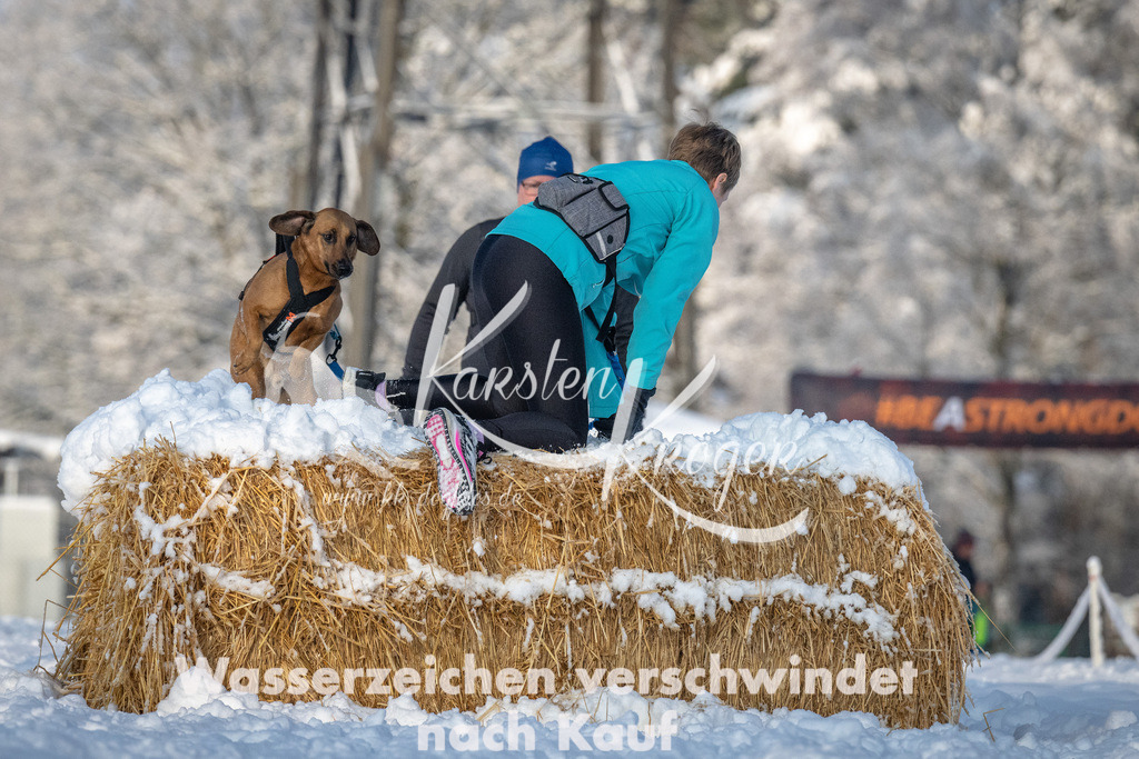 0832_ZZ91881 | kk-dogfotos