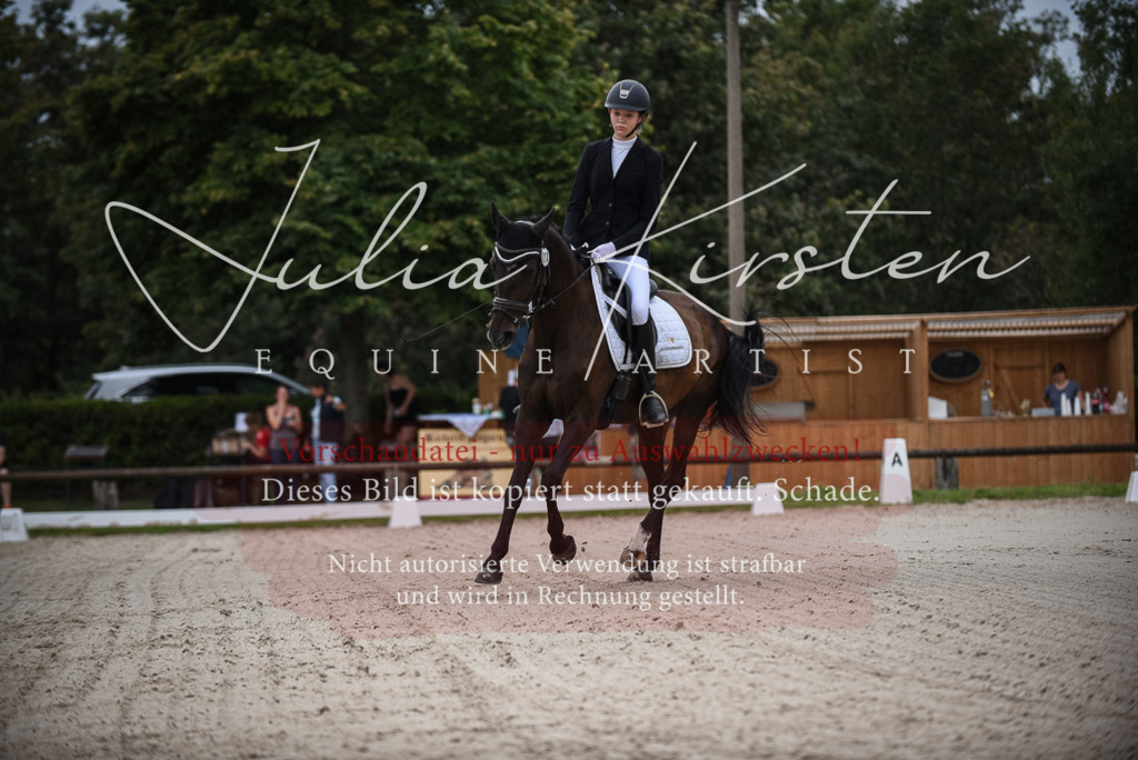 DSC_7932 | Pferde- und Turnierfotografie in Westsachsen. Pferdeportraits, Auftragszeichnungen und intuitive Kunst.