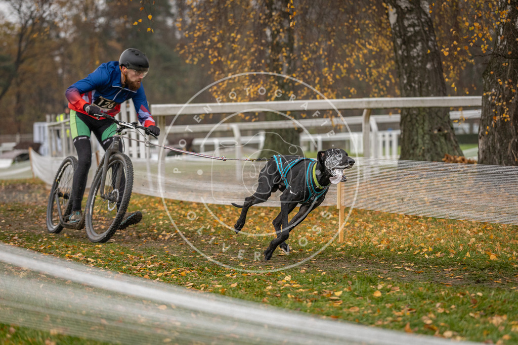 CaniXpix_DV3A8573 | Hundefotografie, Tierfotograf, Pfotenfotografie, Fotoshooting Hund, Hunde Portrait, Hundesport, Hundeportraits, Heideshooting, Hunde, Sportfotograf, Hundefotograf, Turnierhundsport, THS,  - Realisiert mit Pictrs.com