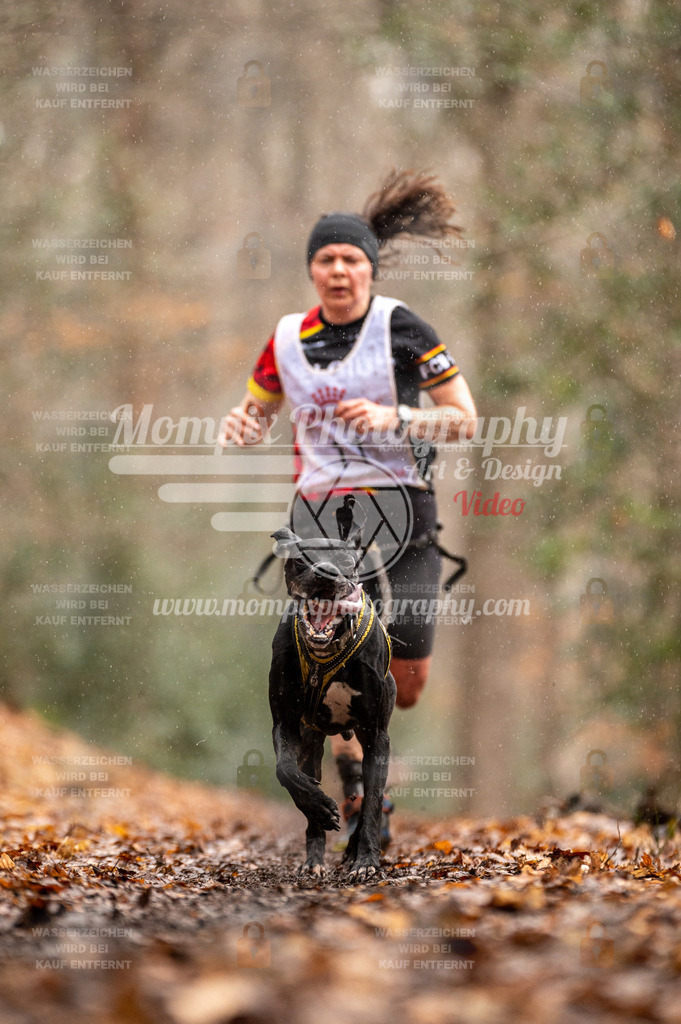 SPA_2023_DIM_CCL-36 | PayLife