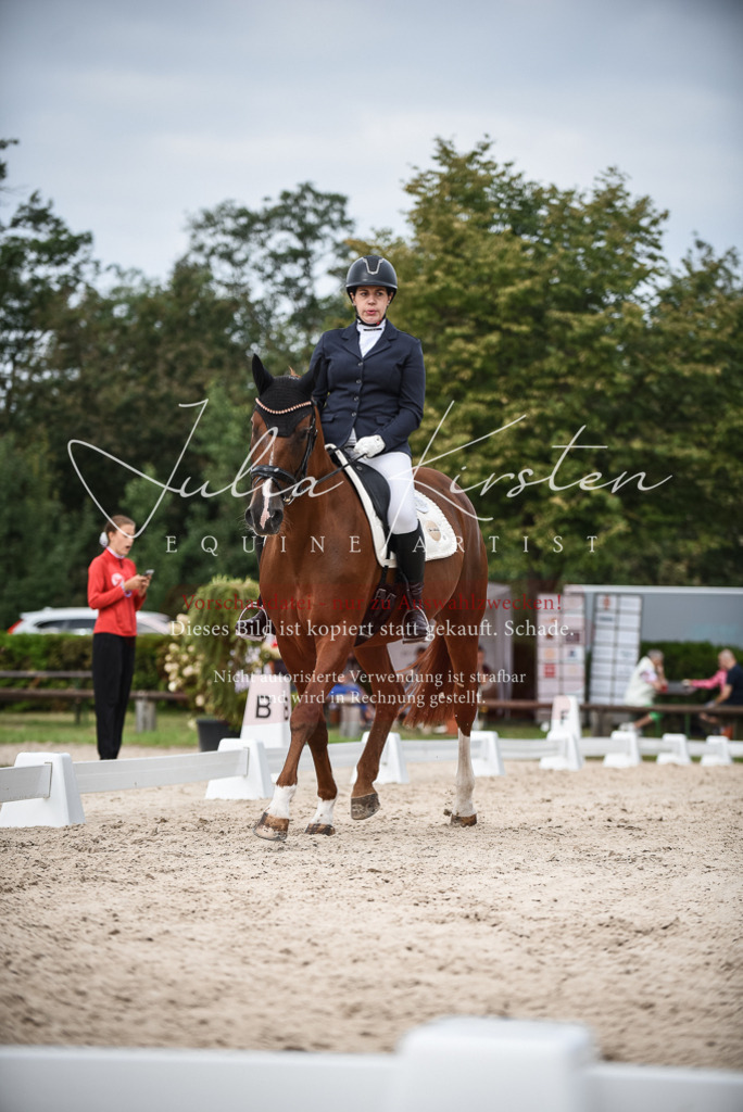 DSC_8362 | Pferde- und Turnierfotografie in Westsachsen. Pferdeportraits, Auftragszeichnungen und intuitive Kunst.