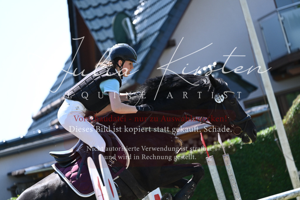 DSC_0723 | Pferde- und Turnierfotografie in Westsachsen. Pferdeportraits, Auftragszeichnungen und intuitive Kunst.