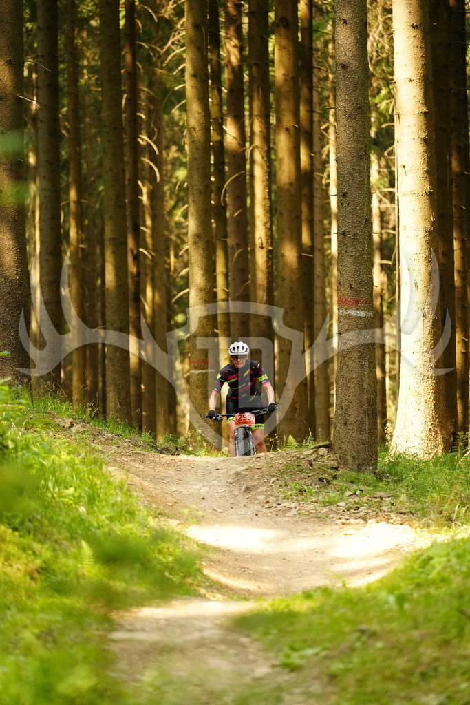 FC103118 | Fotogalerie der Treibjagd im Dunkelwald - Dein MTB Etappenrennen im Erzgebirge - Realisiert mit Pictrs.com