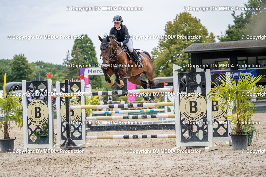 Hessische Tag 3-481 | dv-media-shop - Realisiert mit Pictrs.com