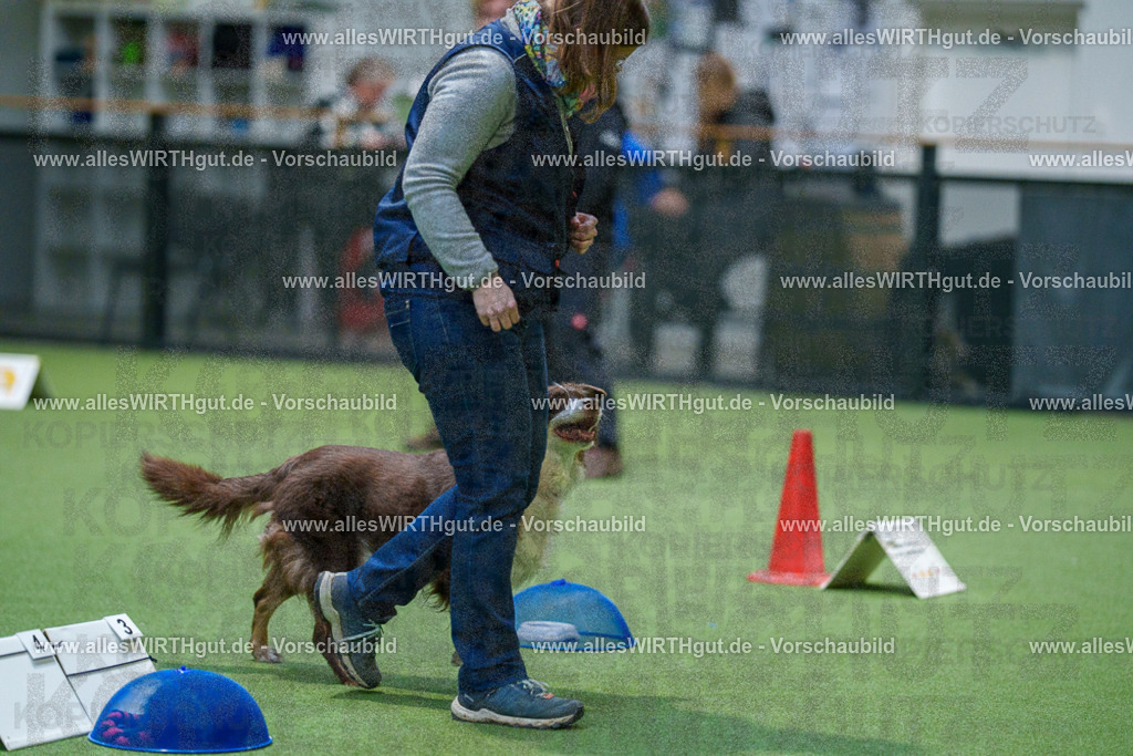 7R504206 | Professionelle Tierfotografie in Mönchengladbach von Daniel Wirth (allesWIRTHgut). Liebevolle & natürliche Bilder von Hunden & Katzen für unvergessliche Erinnerungen.
