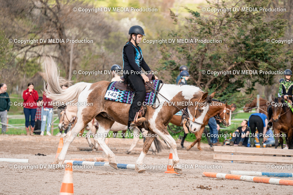 BAL02813 | dv-media-shop - Realisiert mit Pictrs.com