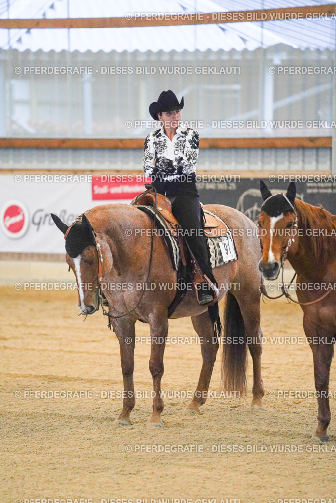 DSC08856 | Pferdegrafie