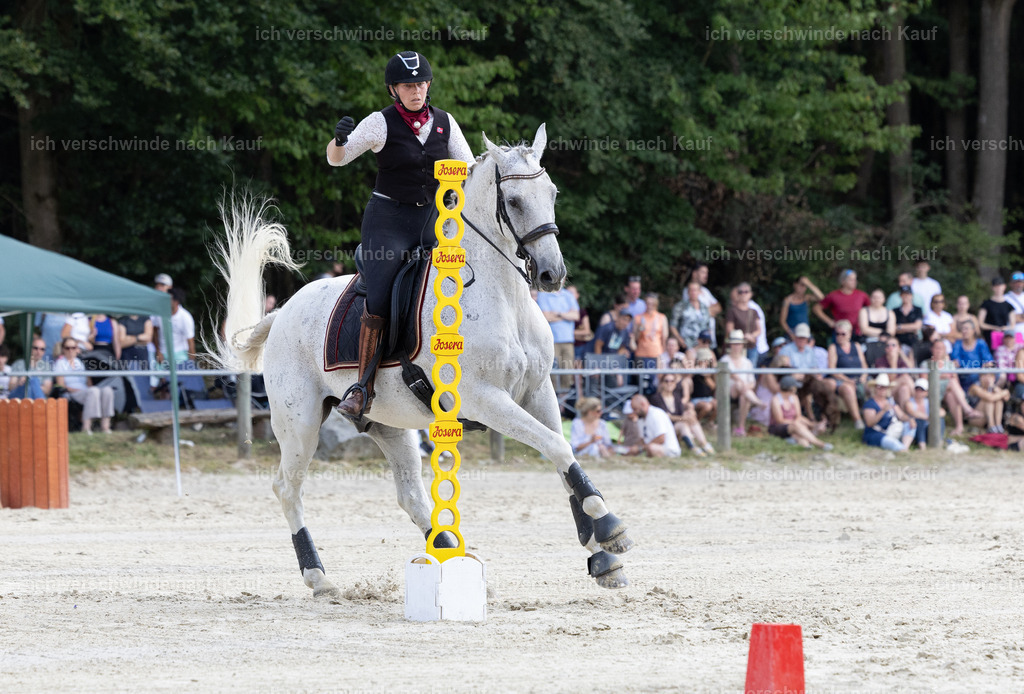WS_SPEED_63_KerstinBernhardt-9 | working equitationturnier fotograf videograf stoibphotography marixx film working equitation deutschland reitsport turnierfotografie eventfotografie equestrian events