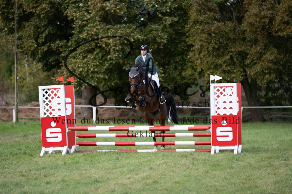 A7V06488 | Pferdefotograf