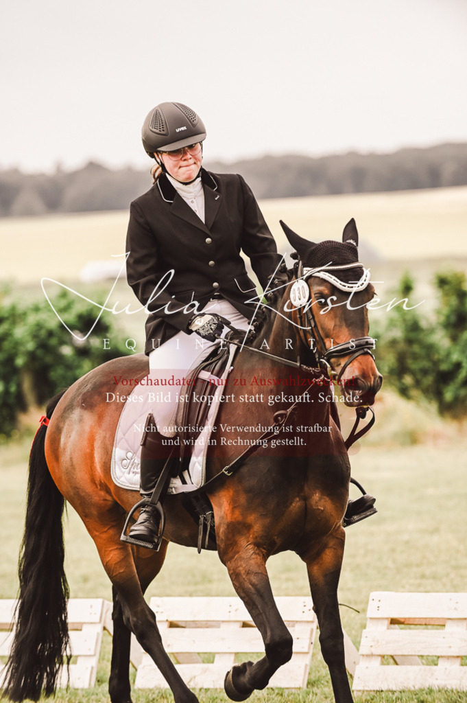 DSC_4940 | Pferde- und Turnierfotografie in Westsachsen. Pferdeportraits, Auftragszeichnungen und intuitive Kunst.