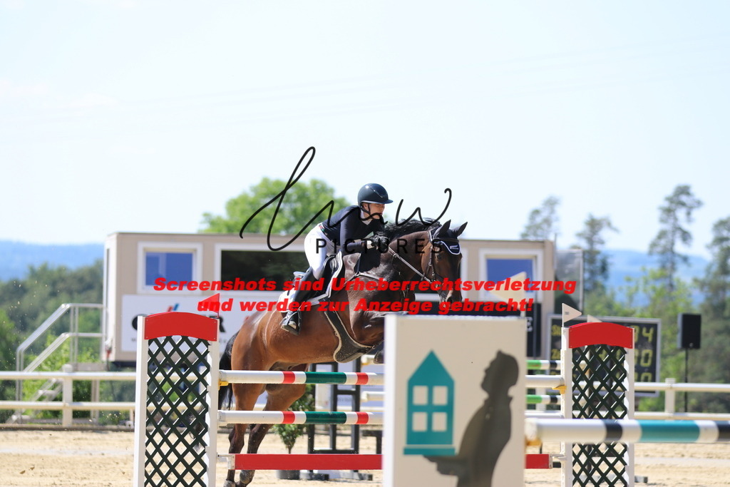 IMG_2770 | lmwpictures - Realisiert mit Pictrs.com