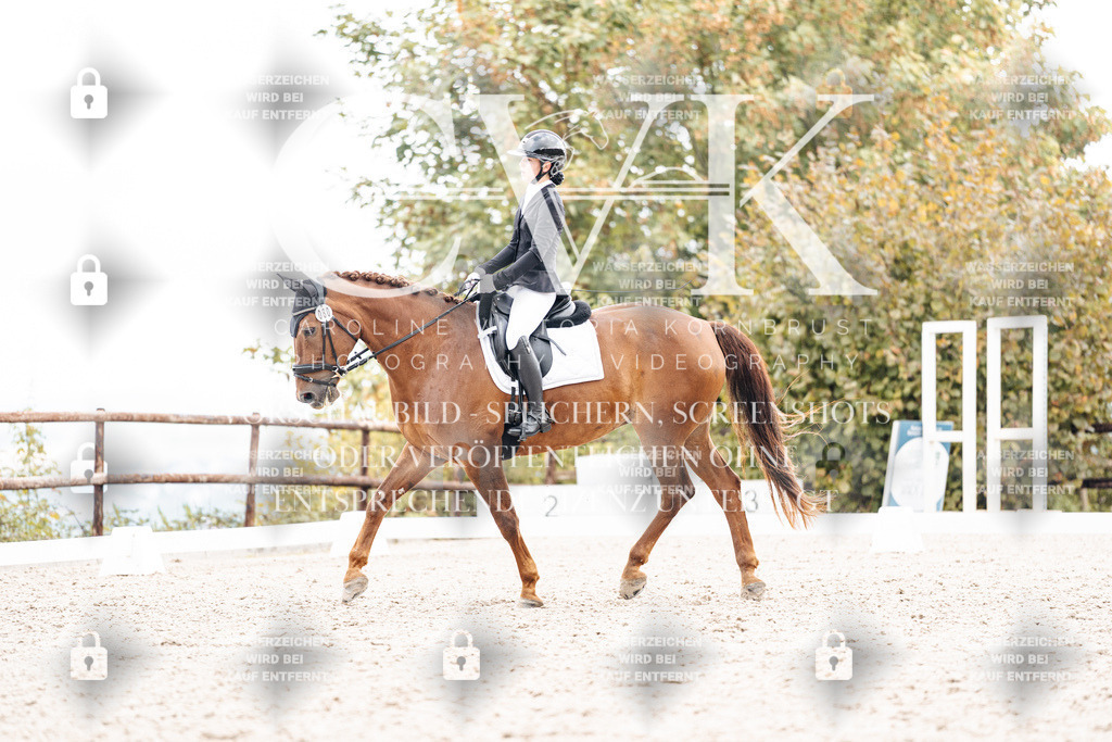 CK900828 | Turnierfotografie Pferdefotografie Trier Rheinland-Pfalz Pferdesport Reitsport Tierfotografie Sportfotografie Pferdevideo Pferdevideografie Equestrianvideography equestrianphotography  - Realisiert mit Pictrs.com