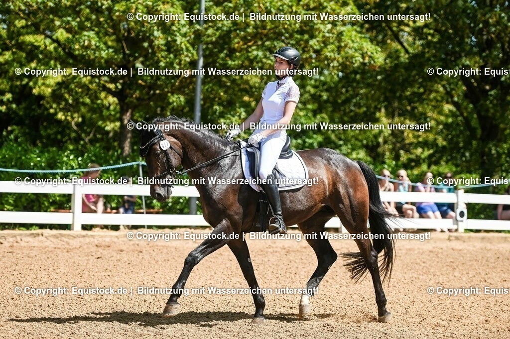 20230715_02_Dressurreiterprüfung Kl.L_0052 | equistock