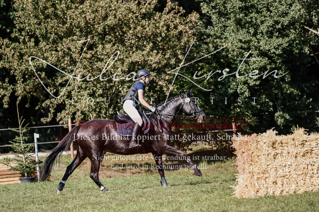 DSC_3559 | Pferde- und Turnierfotografie in Westsachsen. Pferdeportraits, Auftragszeichnungen und intuitive Kunst.