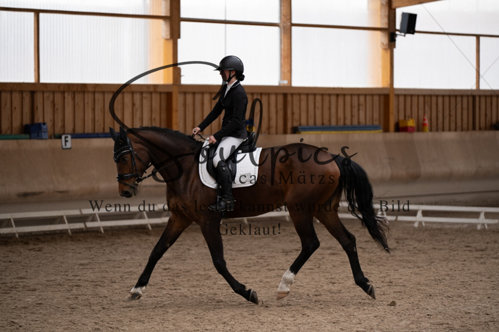 A7V09587 | Pferdefotograf