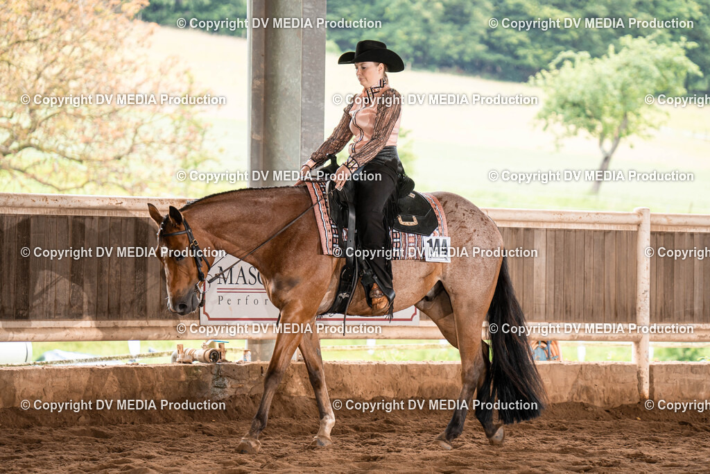 Erbach Tag 1-505 | dv-media-shop - Realisiert mit Pictrs.com