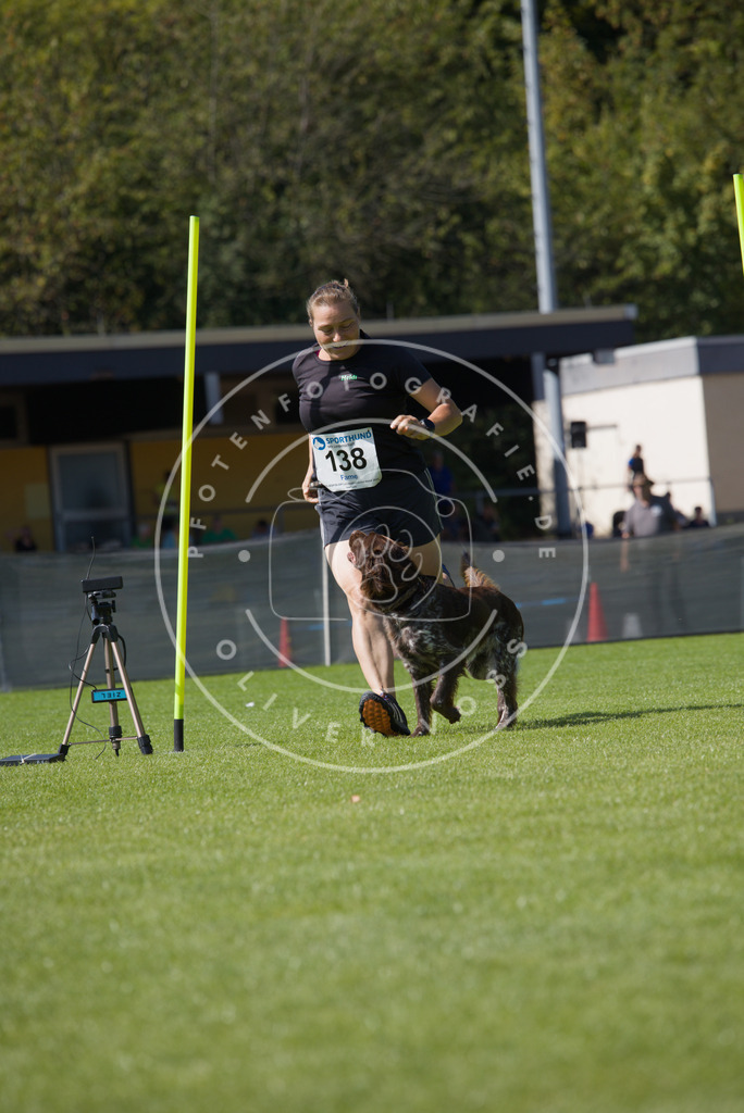 0L8A3003 | Hundefotografie, Tierfotograf, Pfotenfotografie, Fotoshooting Hund, Hunde Portrait, Hundesport, Hundeportraits, Heideshooting, Hunde, Sportfotograf, Hundefotograf, Turnierhundsport, THS,  - Realisiert mit Pictrs.com