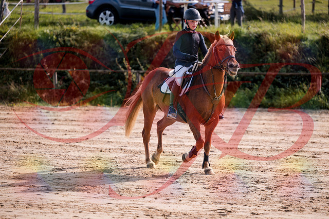 2026_10_03_Siefer-Hof_144648_Z81_22864363 | Professionelle Reitsport-, Turnier- und Eventfotografie von Robert Broda. Galerien mit ausgewählten und bearbeiteten Bildern direkt online ansehen und bestellen.