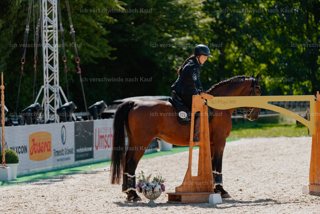 Nadine22_FHC2025-78 | working equitationturnier fotograf videograf stoibphotography marixx film working equitation deutschland reitsport turnierfotografie eventfotografie equestrian events