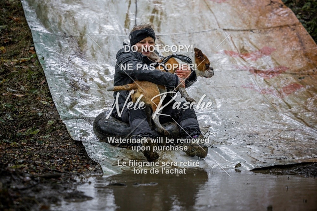 nelerasche_Hunsrück_Sa1300-1400_294-final | nelerasche