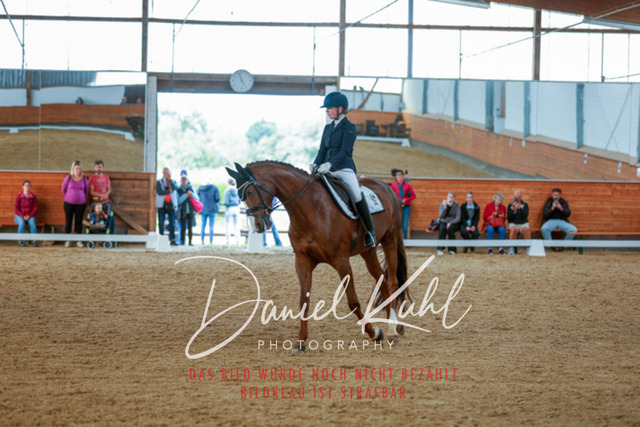 _62_5958 | Turniersportfotografie; Pferdefotografie; Dressurfotografie