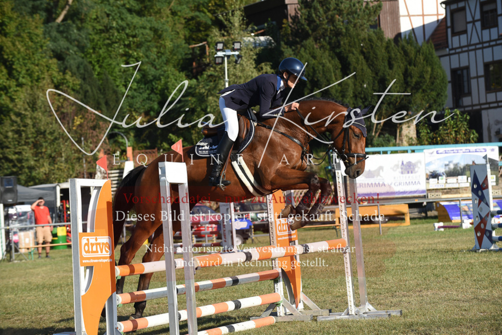 DSC_5043 | Pferde- und Turnierfotografie in Westsachsen. Pferdeportraits, Auftragszeichnungen und intuitive Kunst.