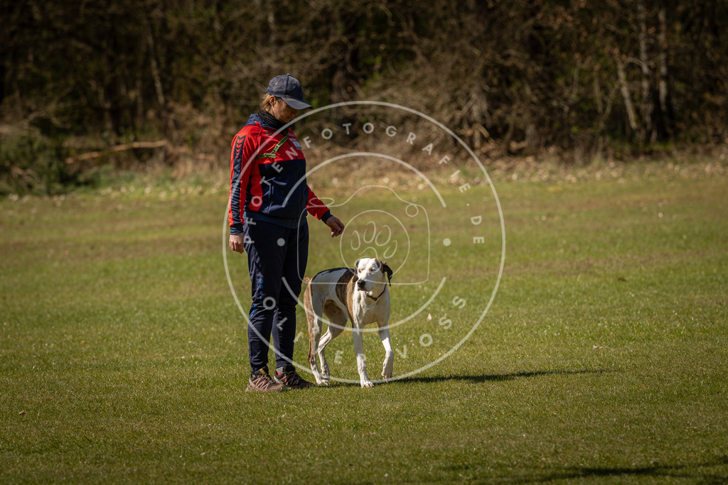 Pfotenfotografie_DV3A0729 | Hundefotografie, Tierfotograf, Pfotenfotografie, Fotoshooting Hund, Hunde Portrait, Hundesport, Hundeportraits, Heideshooting, Hunde, Sportfotograf, Hundefotograf, Turnierhundsport, THS,  - Realisiert mit Pictrs.com