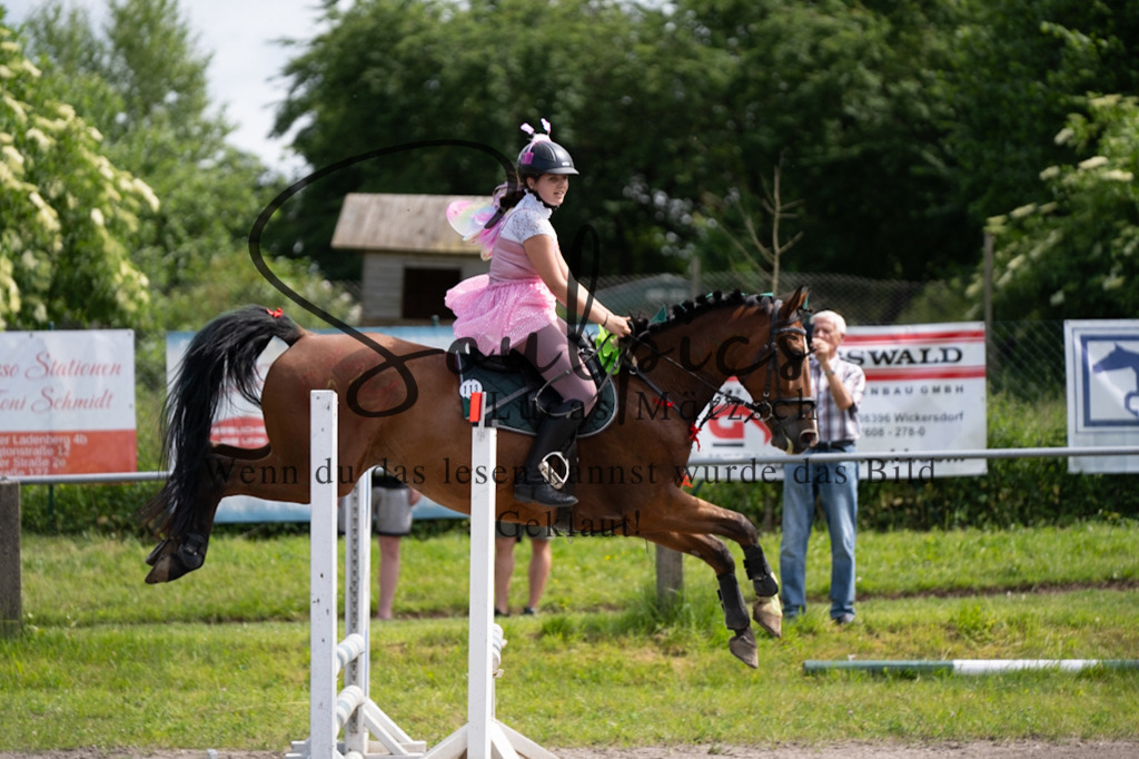 A7V04636 | Pferdefotograf