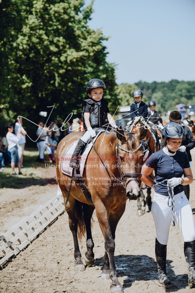 DSC_2419 | Pferde- und Turnierfotografie in Westsachsen. Pferdeportraits, Auftragszeichnungen und intuitive Kunst.