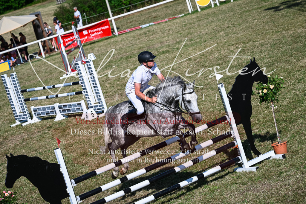 DSC_2569 | Pferde- und Turnierfotografie in Westsachsen. Pferdeportraits, Auftragszeichnungen und intuitive Kunst.