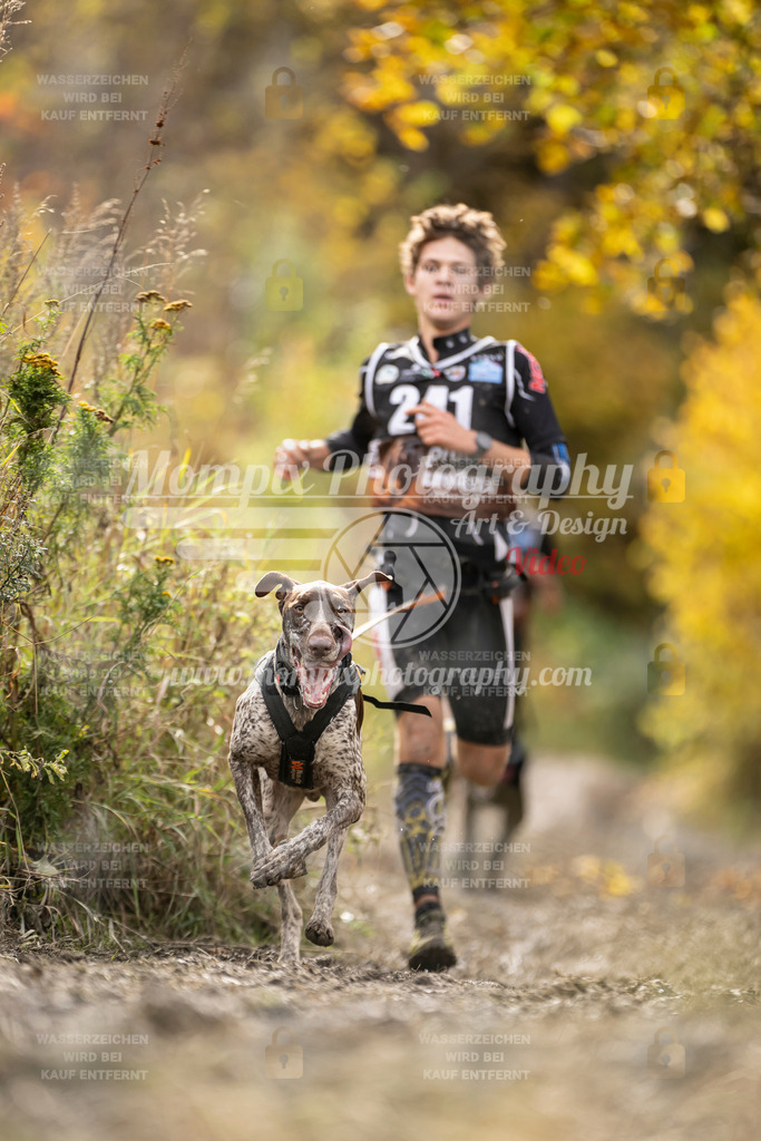 MompixPhotography_ICF_WC_2024_SA_Run_-24 | PayLife