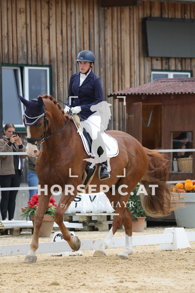 0P6A8622 | Willkommen bei Brunnmayr - Design & Fotografie – Ihrem Spezialisten für Reitturniere und Pferdeveranstaltungen in Oberösterreich, Salzburg und Bayern! Seit über 17 Jahren sind wir leidenschaftlich dabei.