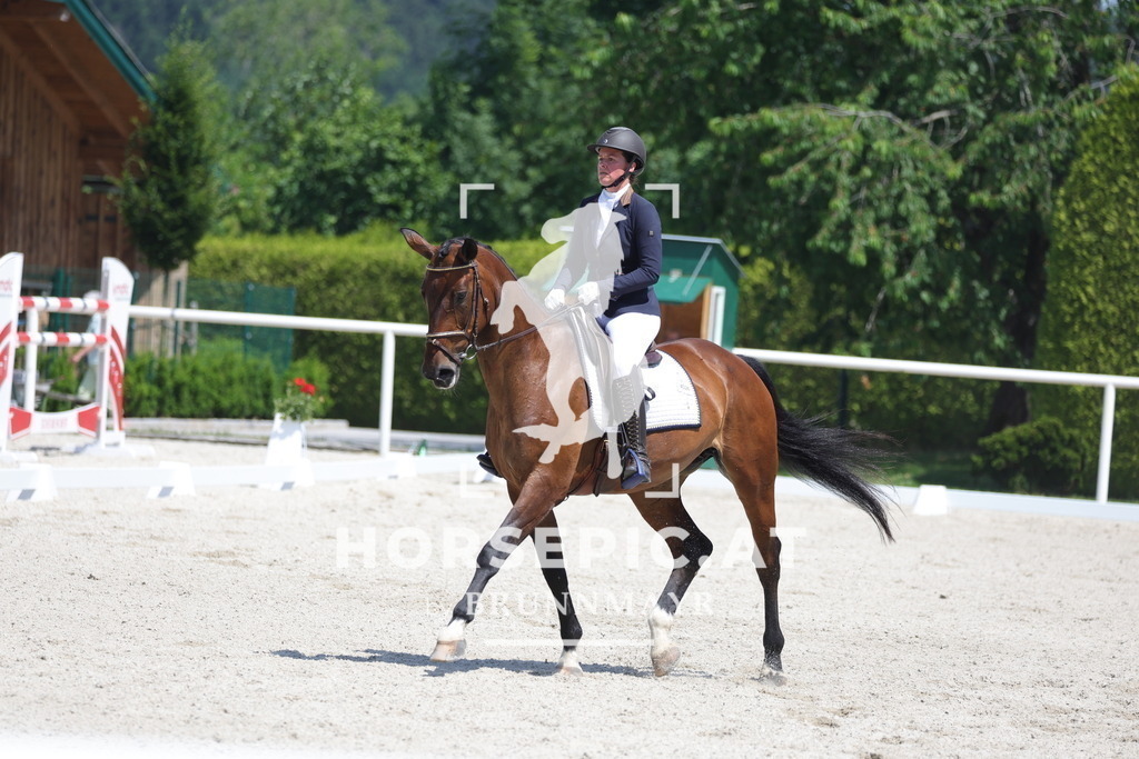 0P6A6057 | Willkommen bei Brunnmayr - Design & Fotografie – Ihrem Spezialisten für Reitturniere und Pferdeveranstaltungen in Oberösterreich, Salzburg und Bayern! Seit über 17 Jahren sind wir leidenschaftlich dabei.