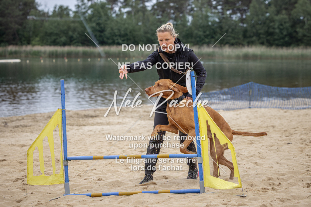 nelerasche_BuHu2026_So10-11_152 | nelerasche
