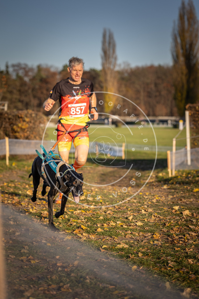 CaniXpix_DV3A3985 | Hundefotografie, Tierfotograf, Pfotenfotografie, Fotoshooting Hund, Hunde Portrait, Hundesport, Hundeportraits, Heideshooting, Hunde, Sportfotograf, Hundefotograf, Turnierhundsport, THS,  - Realisiert mit Pictrs.com