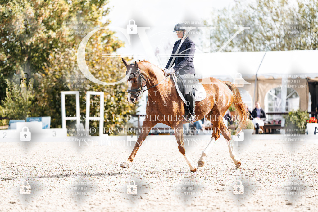 CK901840 | Turnierfotografie Pferdefotografie Trier Rheinland-Pfalz Pferdesport Reitsport Tierfotografie Sportfotografie Pferdevideo Pferdevideografie Equestrianvideography equestrianphotography  - Realisiert mit Pictrs.com