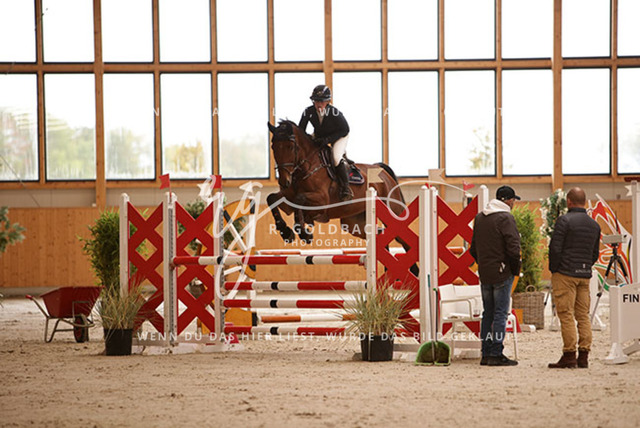 1J2A2266Lilli Plath_ Stakkato_s Diva_ Kn453_ Hohen Wieschendorf_ Glantz | Foto- und Videografie für alles rund ums Pferd. Hochwertige Bilder und Videos vom Spring- und Dressurreiten, Voltigieren & mehr. Jetzt aktuelle Veranstaltungen und Preise im Shop ansehen. - Realisiert mit Pictrs.com