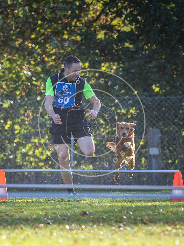 Pfotenfotografie.de_DV3A3150 | Hundefotografie, Tierfotograf, Pfotenfotografie, Fotoshooting Hund, Hunde Portrait, Hundesport, Hundeportraits, Heideshooting, Hunde, Sportfotograf, Hundefotograf, Turnierhundsport, THS, canicross - Realisiert mit Pictrs.com