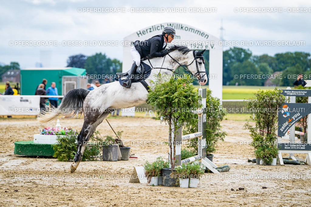 DSC04238 | Pferdegrafie