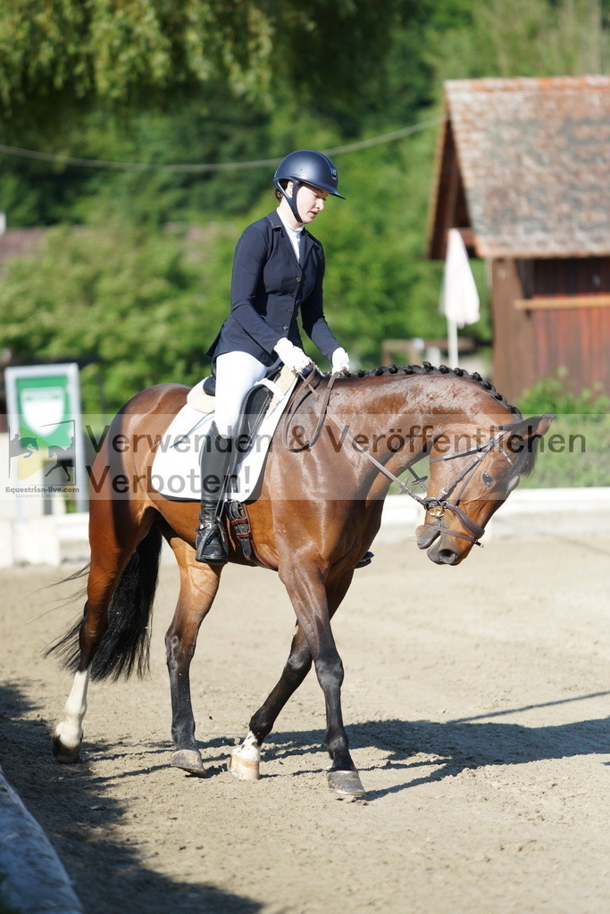 DSC04068 | equestrian-live-com