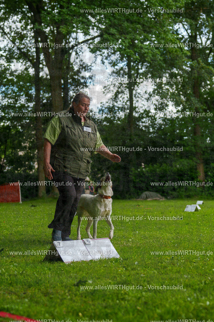 @allesWIRTHgut_Tierfotografie - www.allesWIRTHgut.de - 123005-7R509018 | Professionelle Tierfotografie in Mönchengladbach von Daniel Wirth (allesWIRTHgut). Liebevolle & natürliche Bilder von Hunden & Katzen für unvergessliche Erinnerungen.