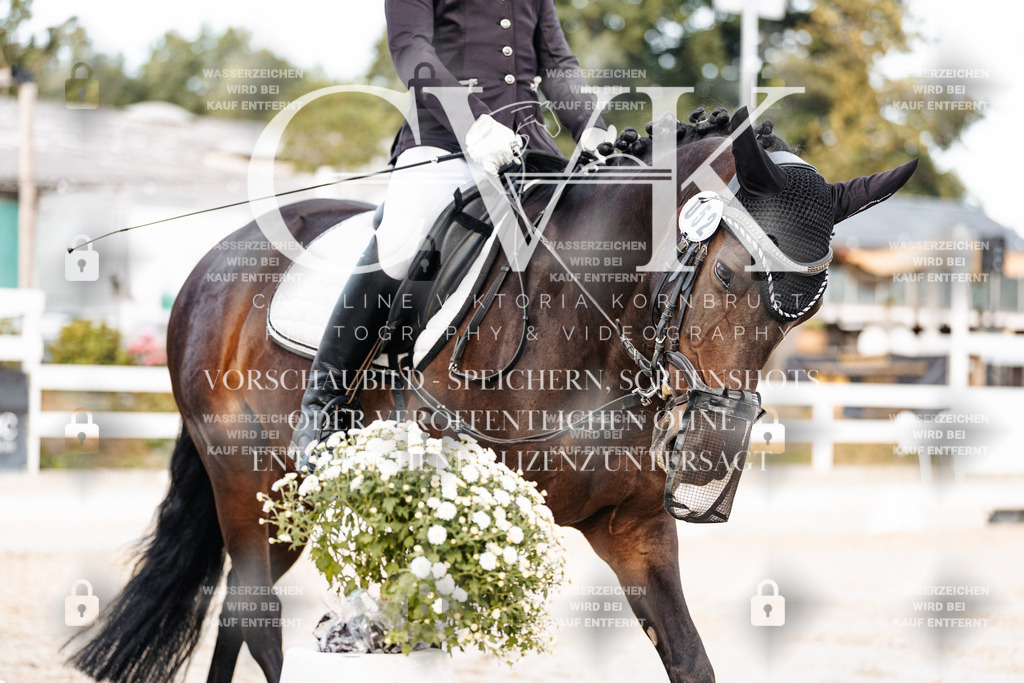 CK904610 | Turnierfotografie Pferdefotografie Trier Rheinland-Pfalz Pferdesport Reitsport Tierfotografie Sportfotografie Pferdevideo Pferdevideografie Equestrianvideography equestrianphotography  - Realisiert mit Pictrs.com