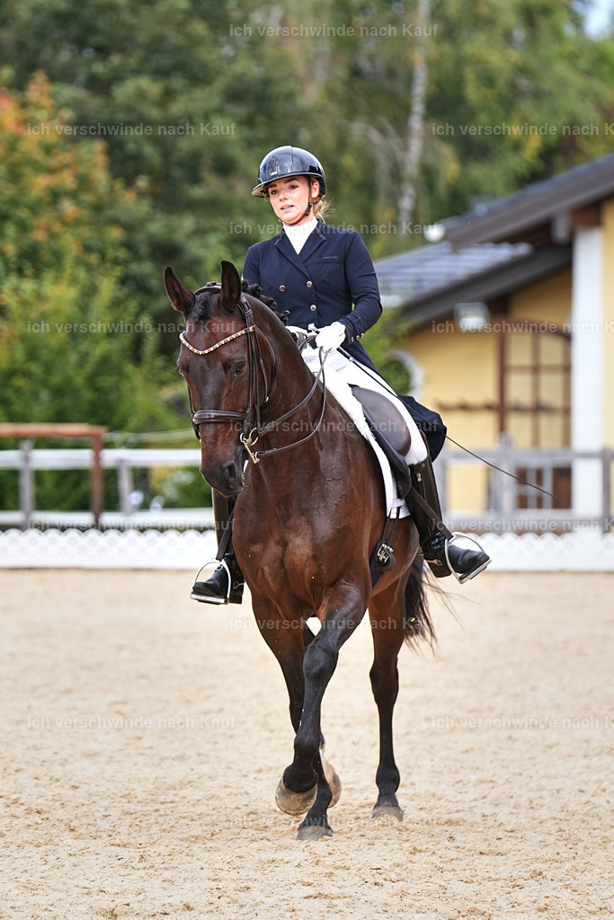 11-066-Dressur S___-Marixx-1647 | working equitationturnier fotograf videograf stoibphotography marixx film working equitation deutschland reitsport turnierfotografie eventfotografie equestrian events