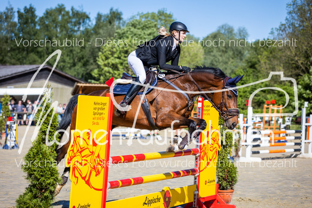 Donop24-A2Spr-020 | MomenTaufnahmen Pferdesportfotos