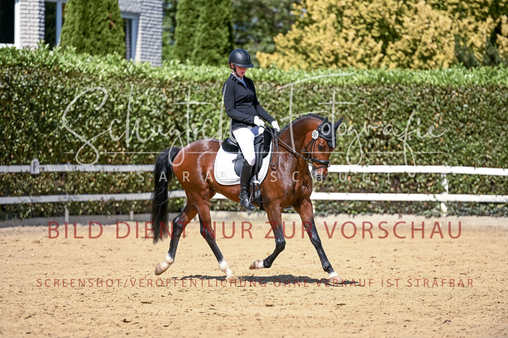 Schugtsche-Aluta25-49.Dressurpferdeprf.A-419 | Schugtsche Fotografie - Realisiert mit Pictrs.com