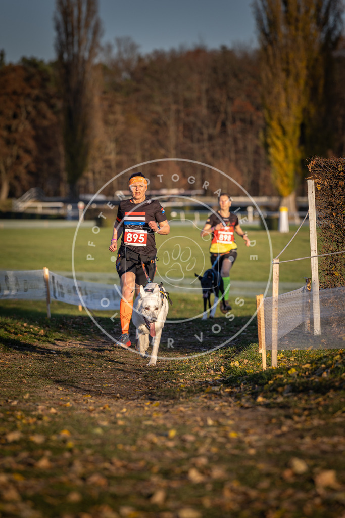 CaniXpix_DV3A4516 | Hundefotografie, Tierfotograf, Pfotenfotografie, Fotoshooting Hund, Hunde Portrait, Hundesport, Hundeportraits, Heideshooting, Hunde, Sportfotograf, Hundefotograf, Turnierhundsport, THS,  - Realisiert mit Pictrs.com